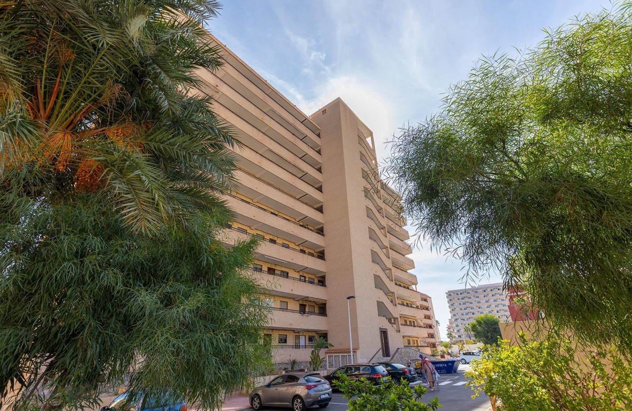 Resale - Apartment / flat - Torrevieja - La Mata