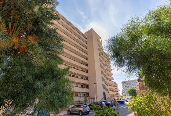 Resale - Apartment / flat - Torrevieja - La Mata