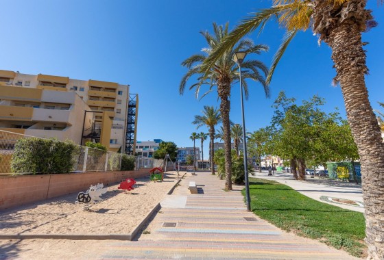 Revente - Appartement - Torrevieja - Estacion de autobuses