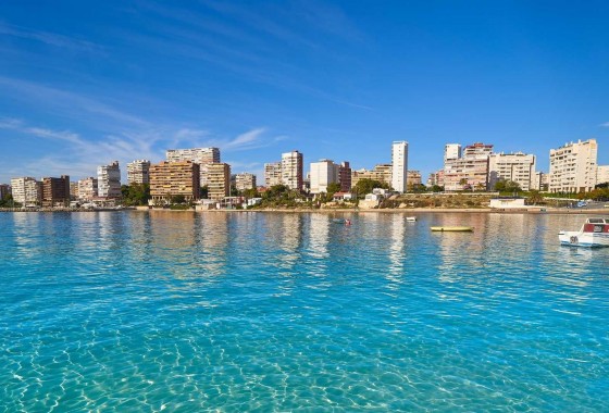 New Build - Villa - Els Poblets - Partida Barranquets