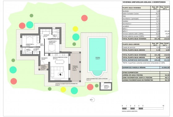 Nouvelle construction - Villa - Pinoso - Rodriguillo