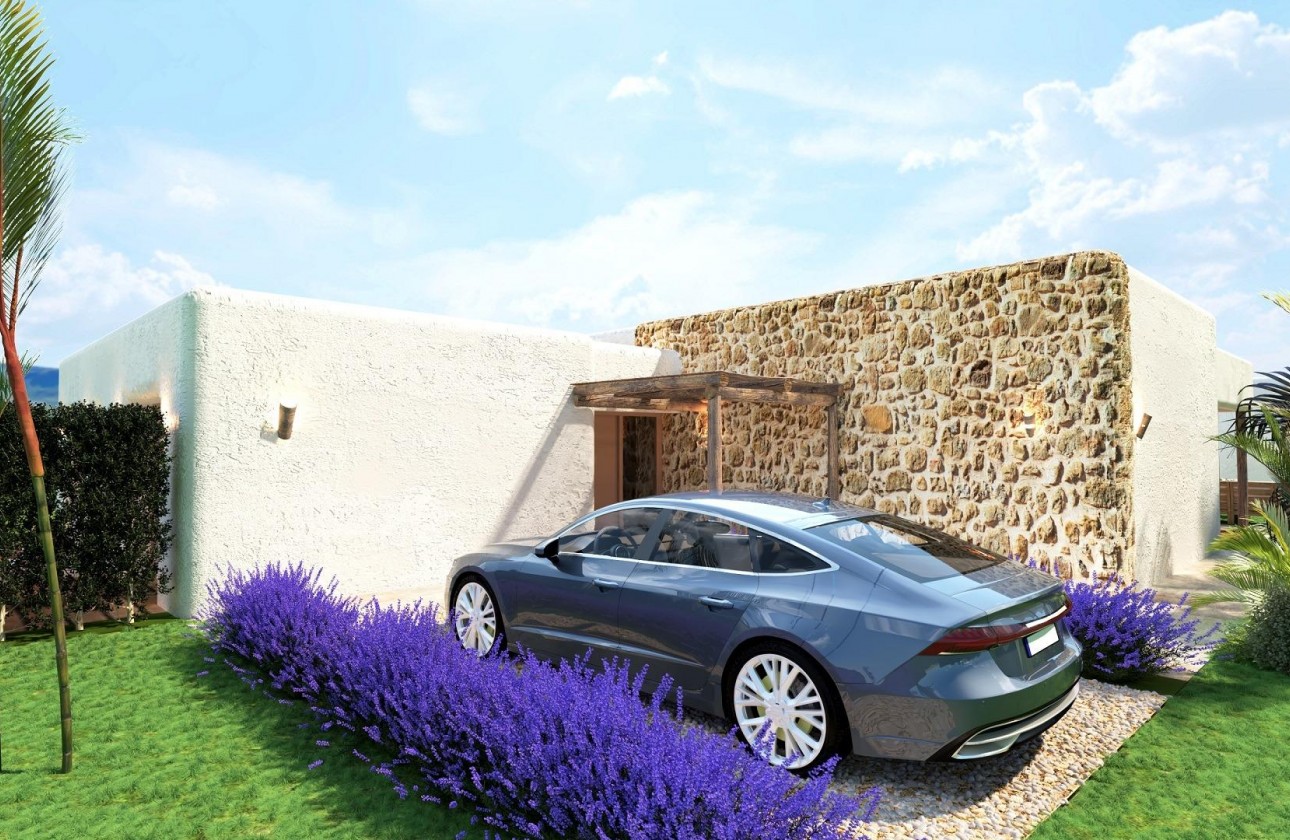 Nouvelle construction - Villa - Pinoso - Rodriguillo