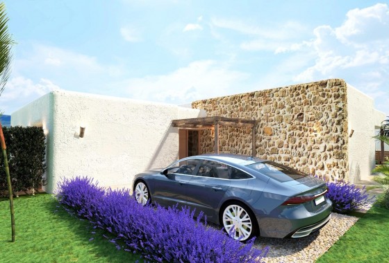 New Build - Villa - Pinoso - Rodriguillo