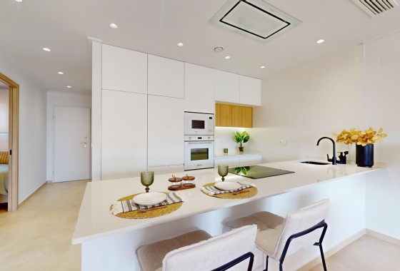 New Build - Penthouse - Guardamar del Segura - EL RASO