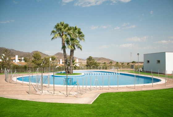 Nouvelle construction - Villa - Fuente Álamo - Las Palas