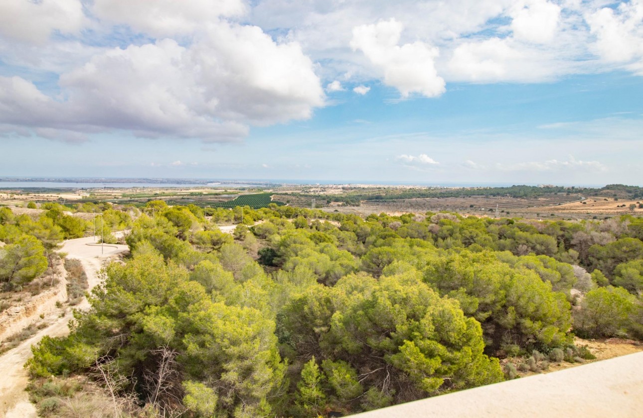 Resale - Apartment / flat - San Miguel de Salinas