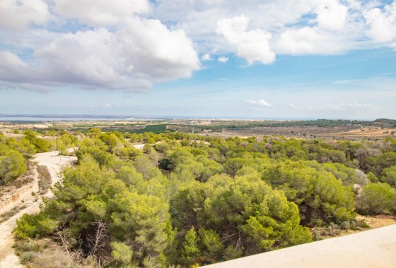 Resale - Apartment / flat - San Miguel de Salinas