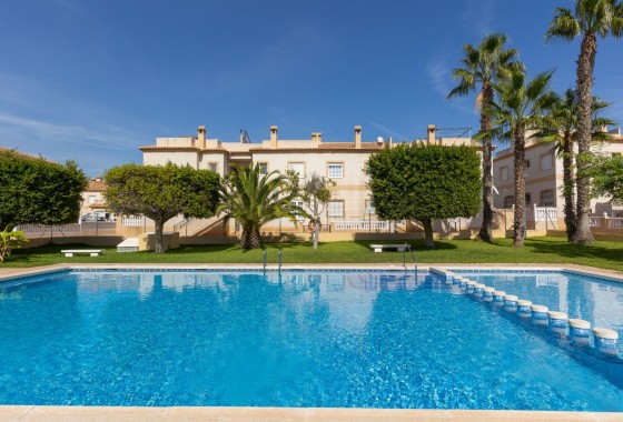 Alquiler a largo plazo - Bungalow - Torrevieja - Zona los Frutales