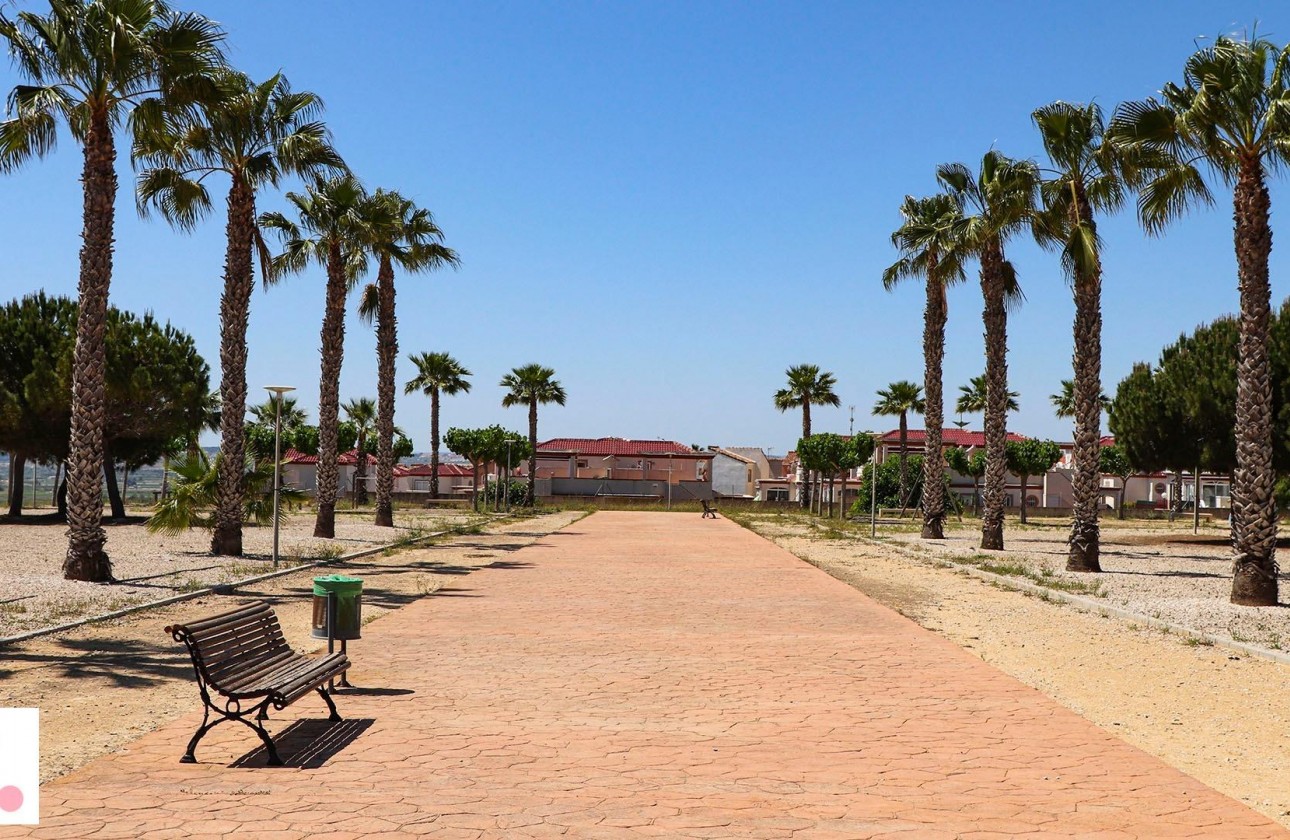 Nouvelle construction - Villa - San Fulgencio - La Escuera