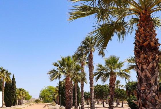 Nouvelle construction - Villa - San Fulgencio - La Escuera