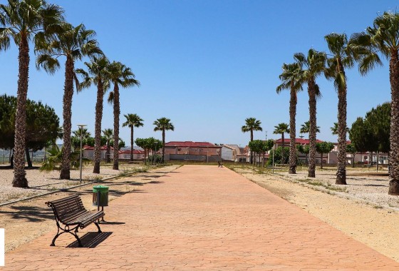 Nouvelle construction - Villa - San Fulgencio - La Escuera