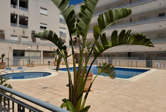 Revente - Appartement - Almoradí