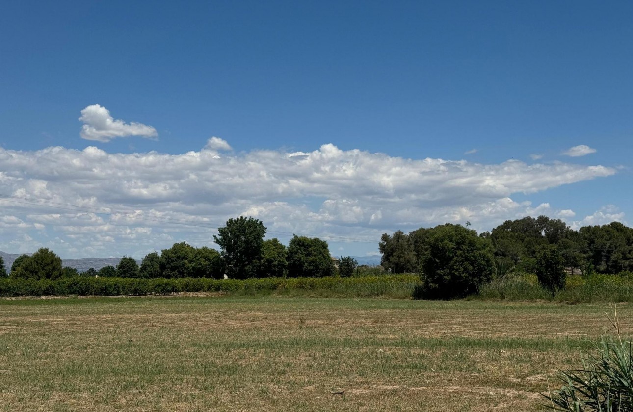 Revente - Appartement - Almoradí