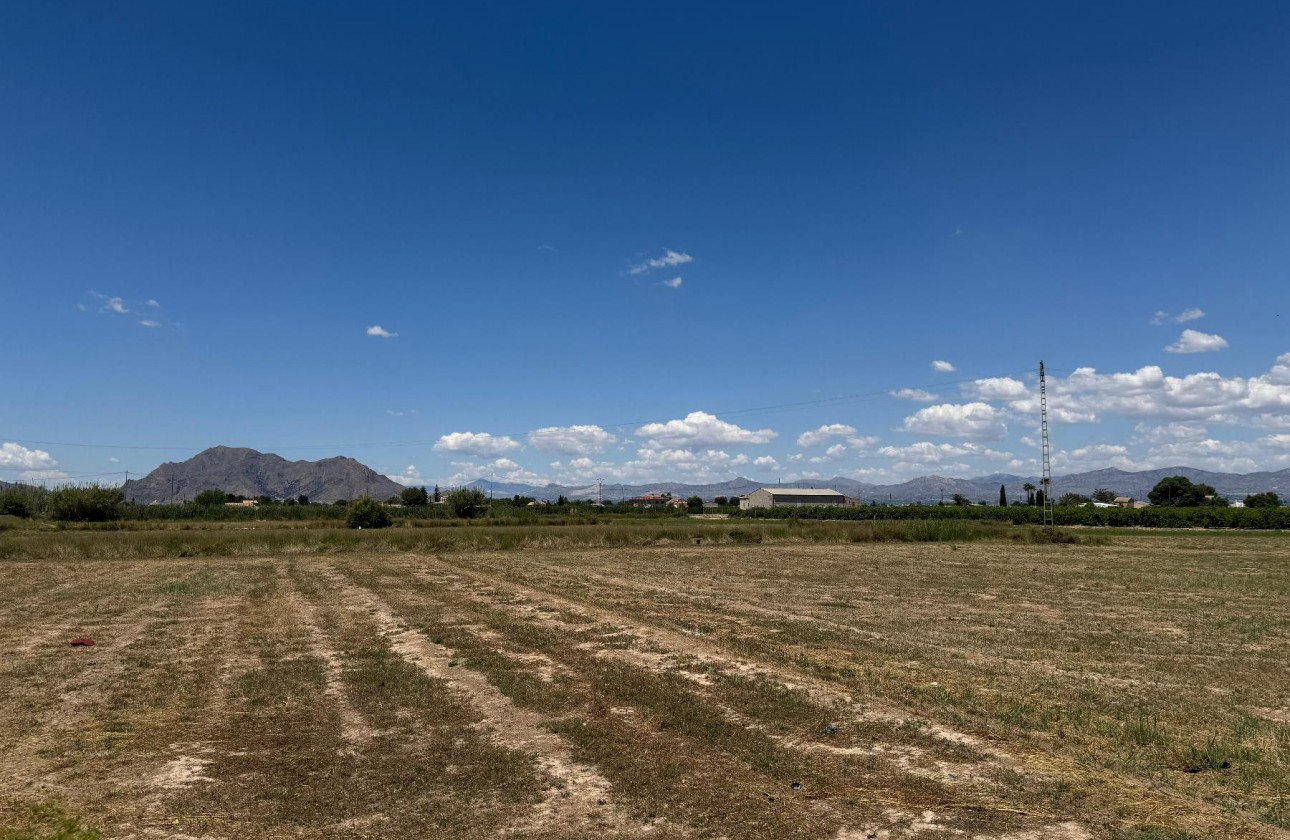 Revente - Appartement - Almoradí