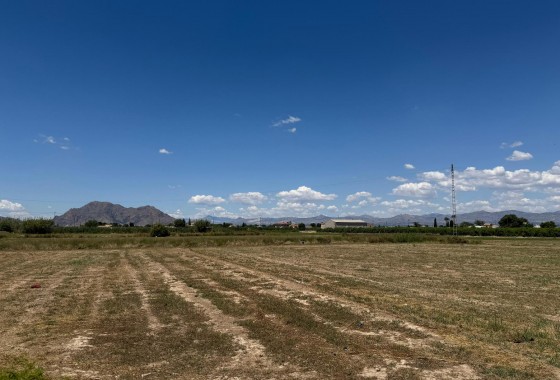 Revente - Appartement - Almoradí