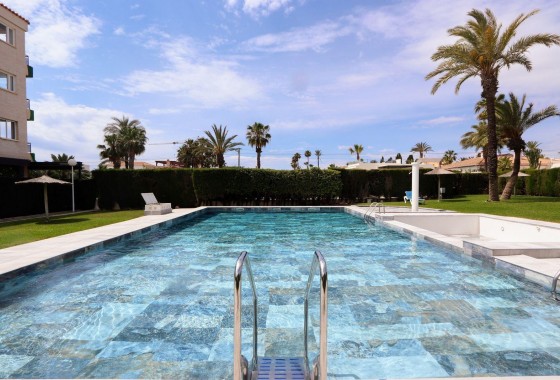 Reventa - Apartamento / piso - Torrevieja - Playa Flamenca