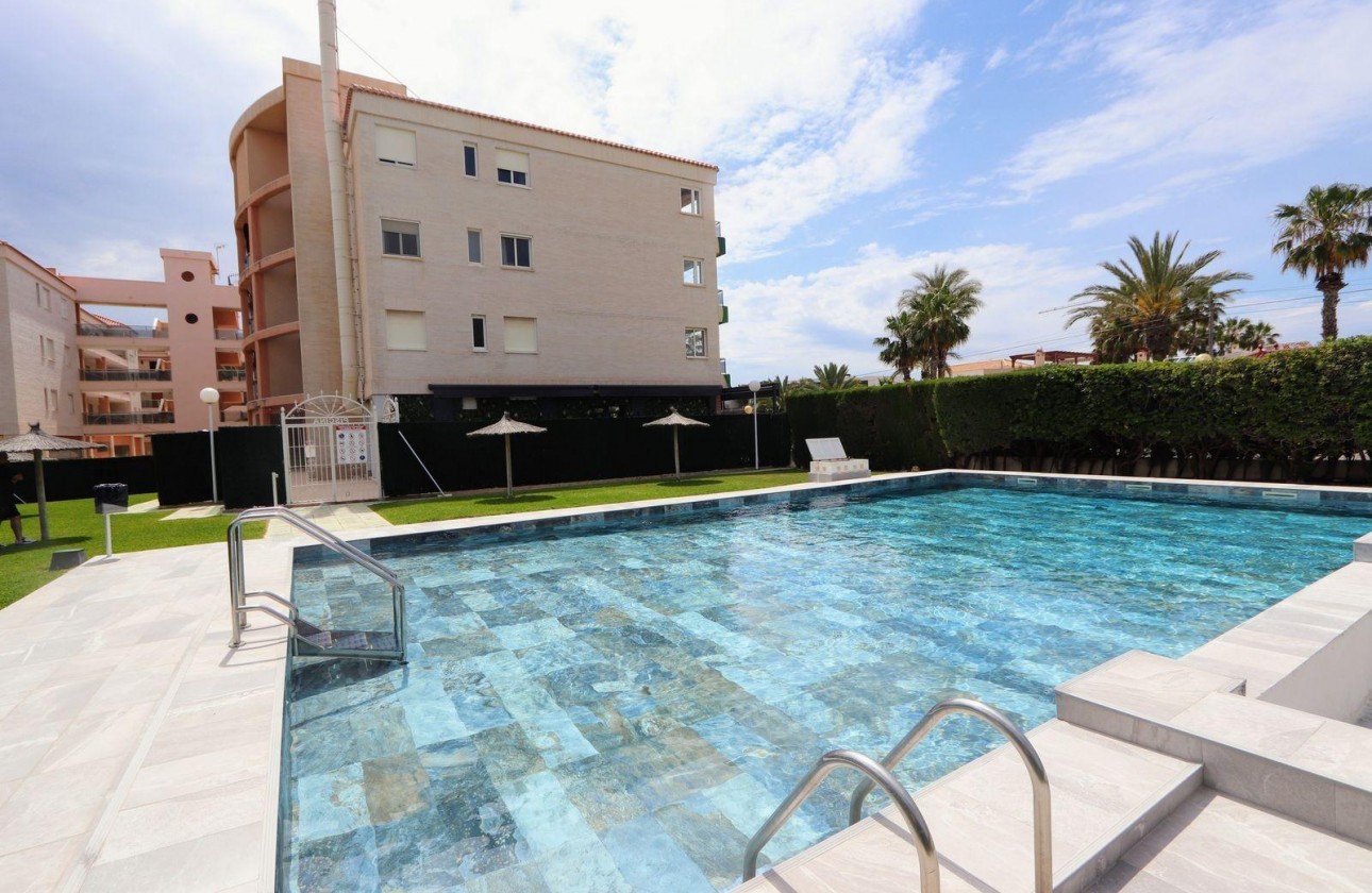 Reventa - Apartamento / piso - Torrevieja - Playa Flamenca