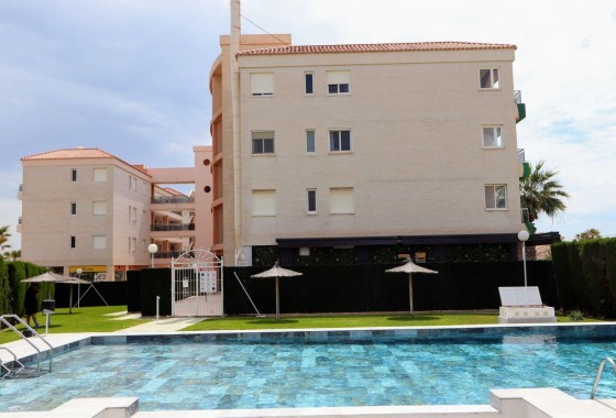 Reventa - Apartamento / piso - Torrevieja - Playa Flamenca