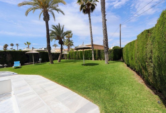 Reventa - Apartamento / piso - Torrevieja - Playa Flamenca