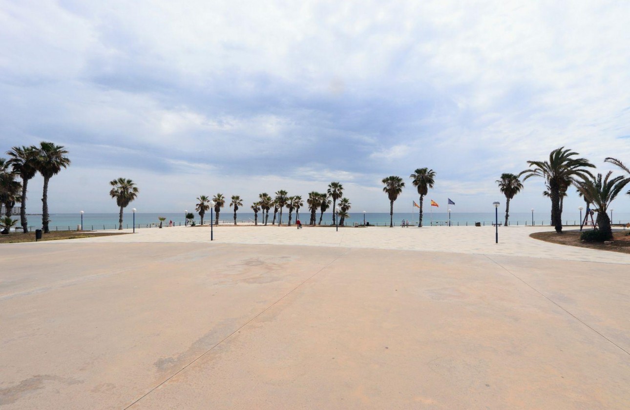 Reventa - Apartamento / piso - Torrevieja - Playa Flamenca