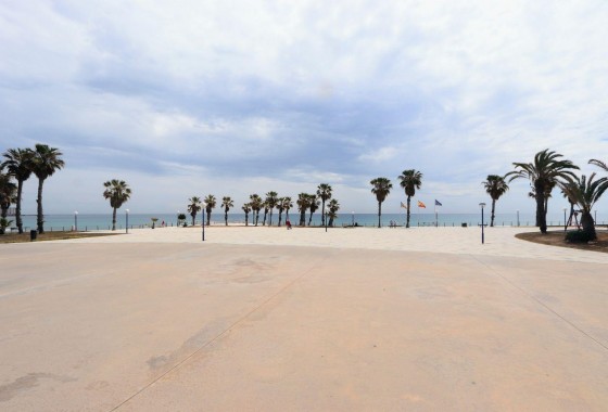 Reventa - Apartamento / piso - Torrevieja - Playa Flamenca