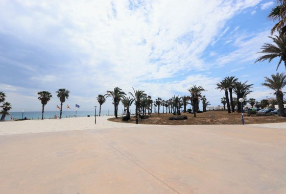 Reventa - Apartamento / piso - Torrevieja - Playa Flamenca