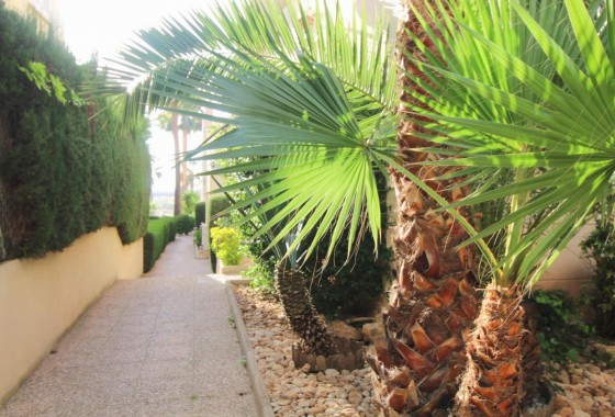 Revente - Appartement - Torrevieja - La veleta