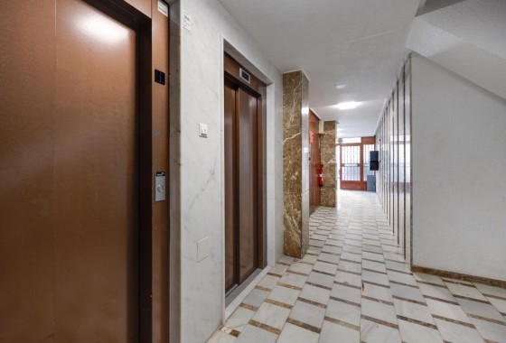 Reventa - Apartamento / piso - Torrevieja - playa de los naufragos