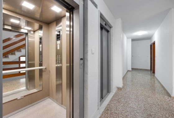 Reventa - Apartamento / piso - Torrevieja - playa de los naufragos