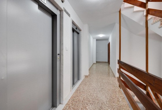 Reventa - Apartamento / piso - Torrevieja - playa de los naufragos