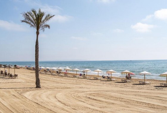 Nueva construcción  - Ático - Guardamar del Segura - Pueblo