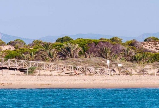 Nouvelle construction - Attique - Guardamar del Segura - Pueblo