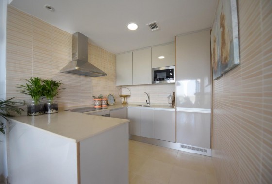 Nouvelle construction - Attique - Xeresa - Xeresa del monte