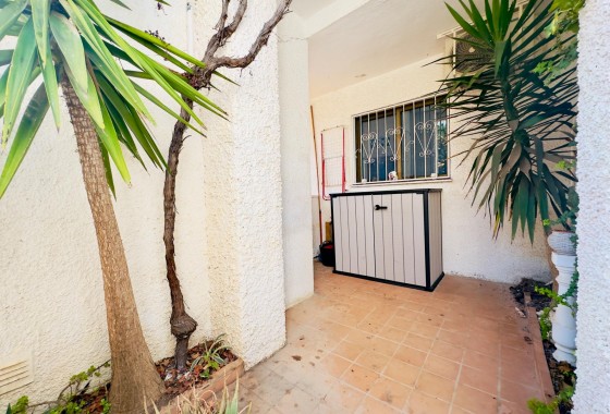 Revente - Appartement - Torrevieja - Los Frutales