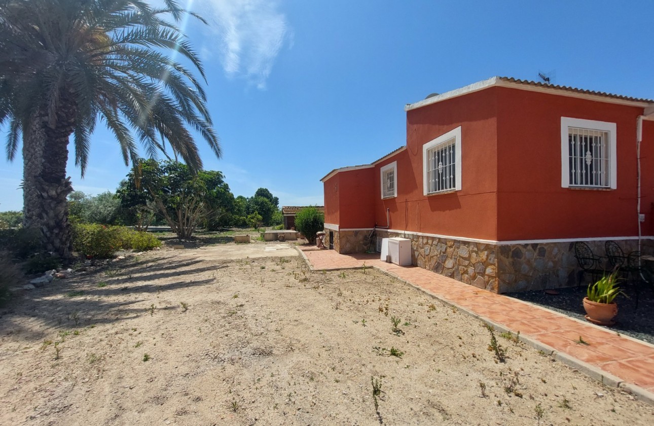 Reventa - Country Property/Finca - San Miguel de Salinas
