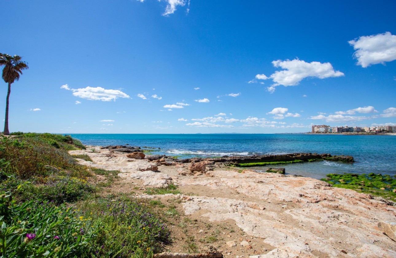 Revente - Appartement - Torrevieja - Centro - Muelle Pesquero