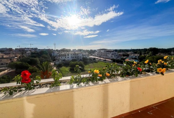 Revente - Appartement - Torrevieja - Punta prima