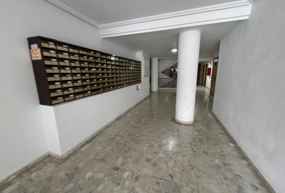 Revente - Appartement - Torrevieja - Estacion de autobuses