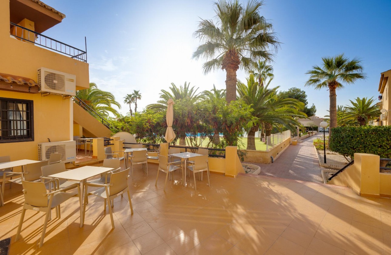 Revente - Estudio - Torrevieja - Torreblanca La Mata