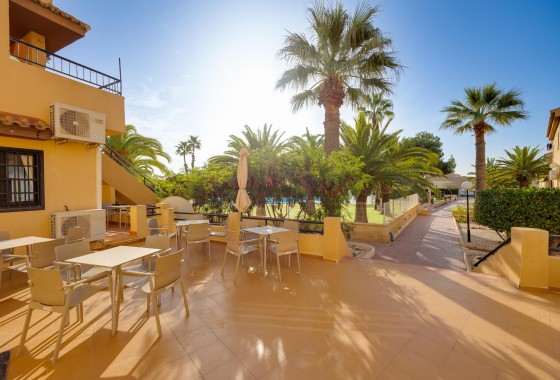 Revente - Estudio - Torrevieja - Torreblanca La Mata