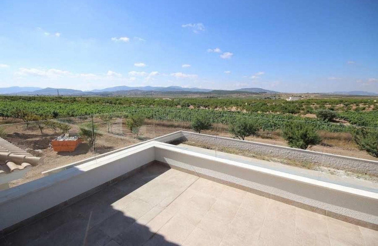 New Build - Villa - Pinoso - Camino Del Prado