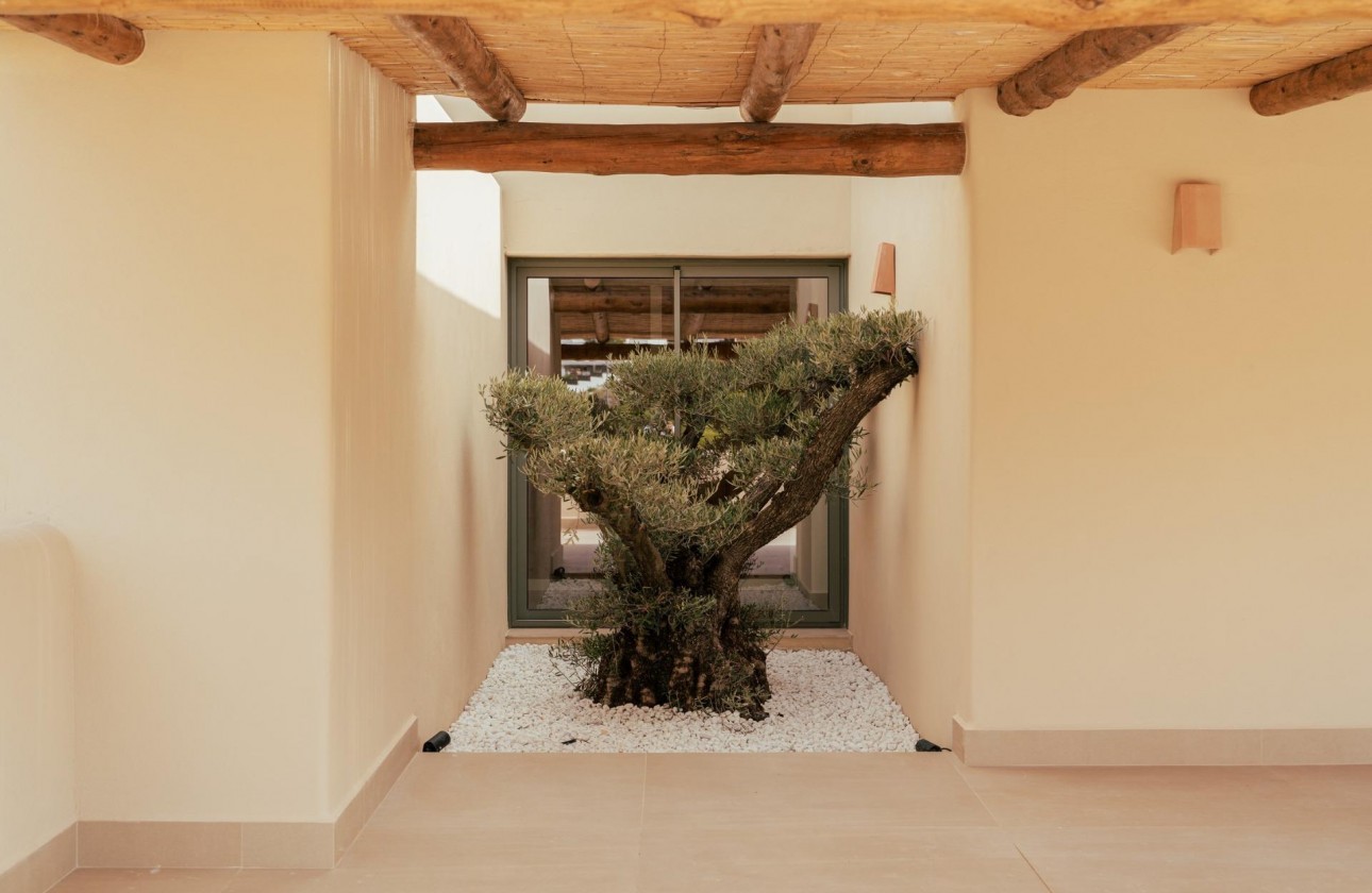 New Build - Villa - Jávea Xàbia - Valle del Sol