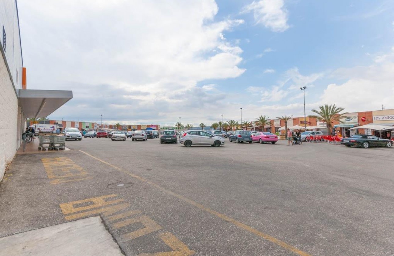 Location à long terme - Business - San Fulgencio - La Marina