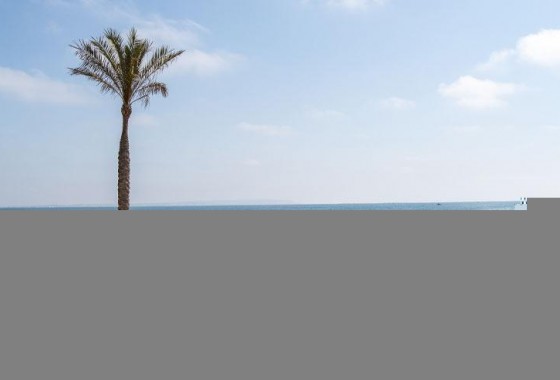 Nouvelle construction - Attique - Guardamar del Segura - Pueblo