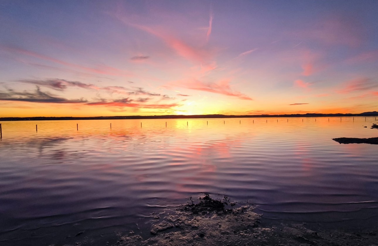 Resale - Villa - El Chaparral