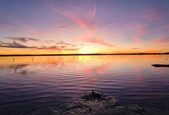 Resale - Villa - El Chaparral