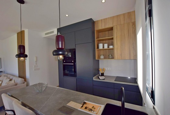 New Build - Villa - Alhama de Murcia - Condado de Alhama