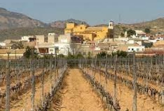 Nouvelle construction - Bungalow - Hondón de las Nieves - El Salero