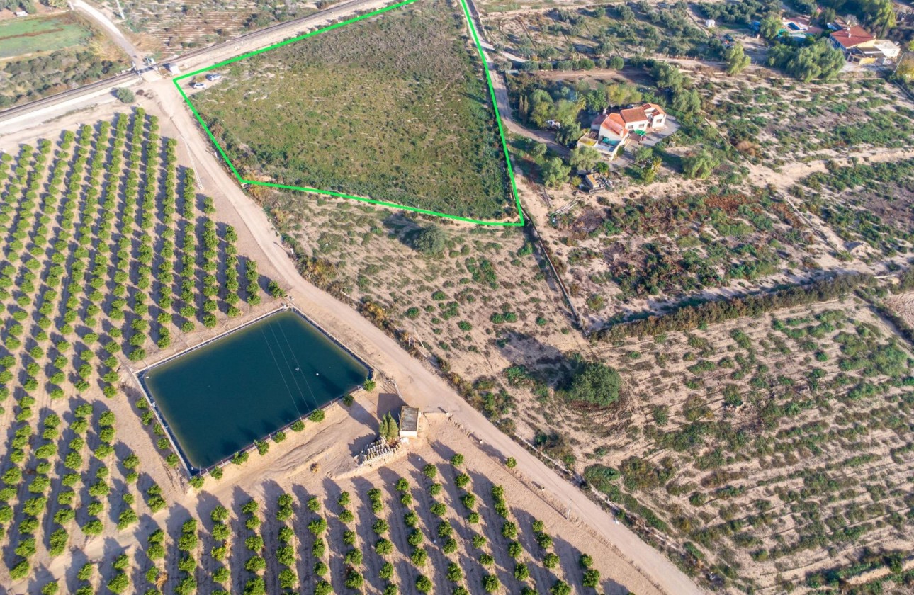 Revente - Country land - Crevillent - Comunidad valenciana