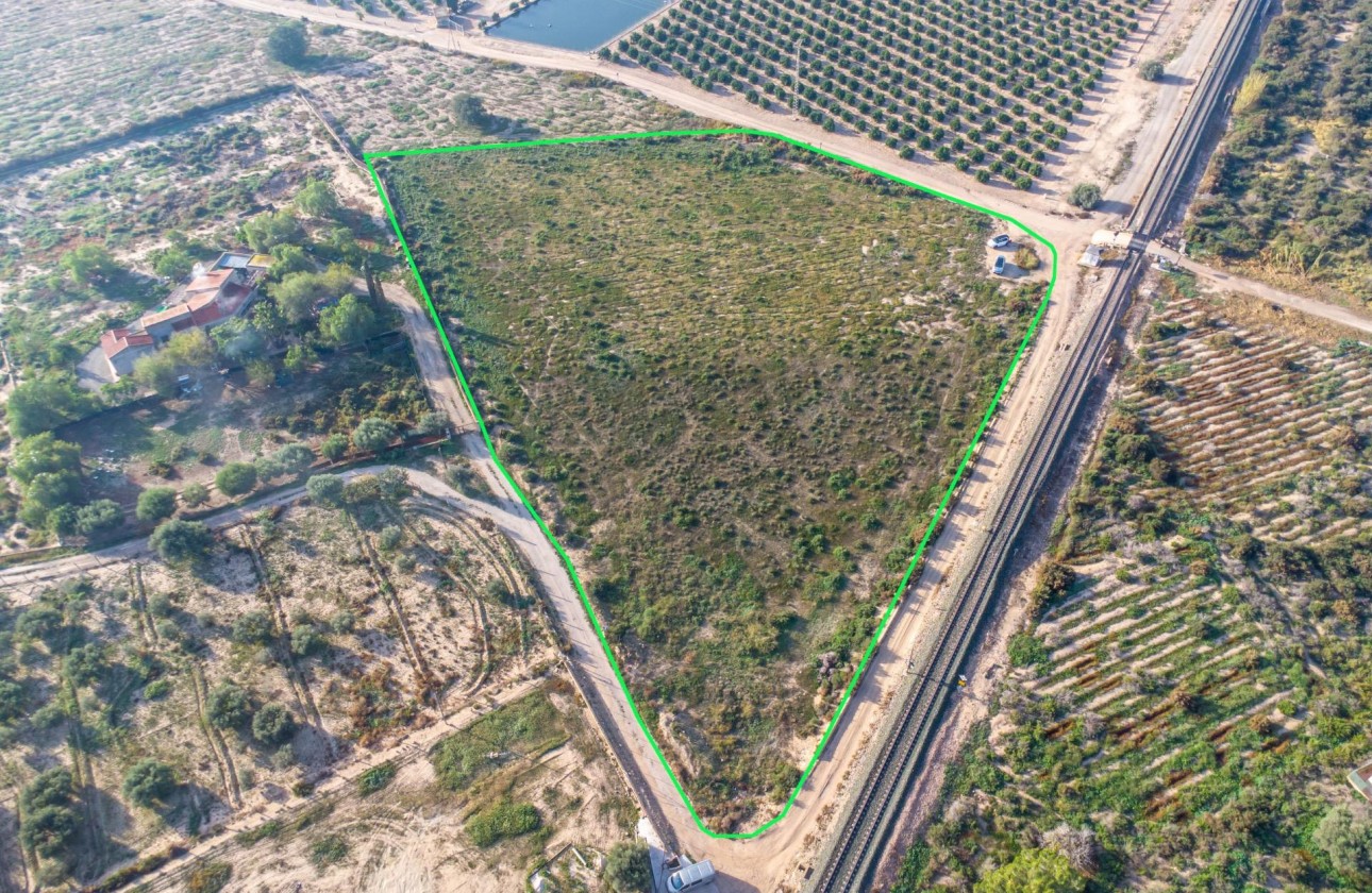 Revente - Country land - Crevillent - Comunidad valenciana